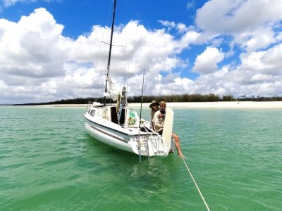 Rob Legg RL 24 Trailer Sailer