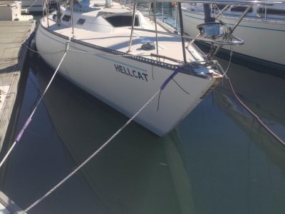 Catalina 38