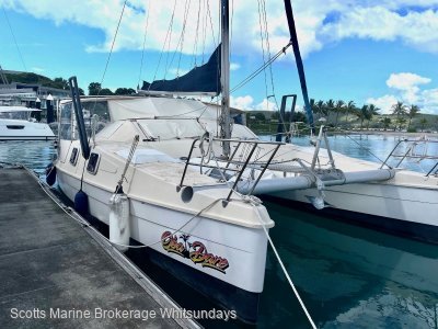 Beach Marine 31