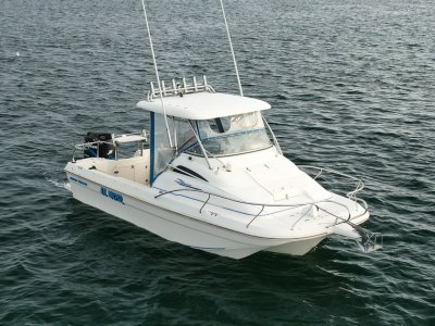 Aussie Whaler 550 Profish