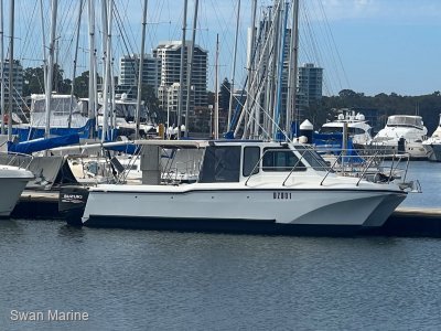 Cougar Cat 28