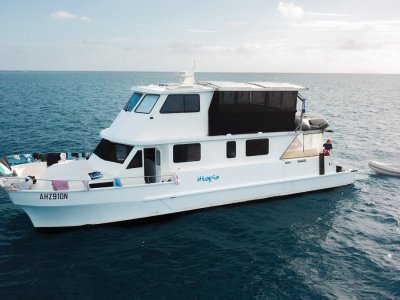 Nustar 55 Flybridge Motor Cat