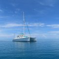 Custom 16.65 Sailing Catamaran