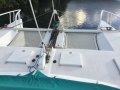 Custom 16.65 Sailing Catamaran