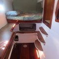 Custom 16.65 Sailing Catamaran