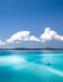 Profitable Lifestyle Marine Business for sale in Whitsundays & Hamilton Is.